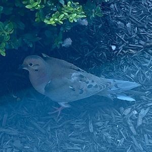 Meet your Posher, Jeremiah